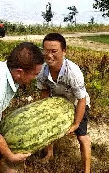 自從公司新來的女同事這樣坐我旁邊,我已經無心上班了 - ---