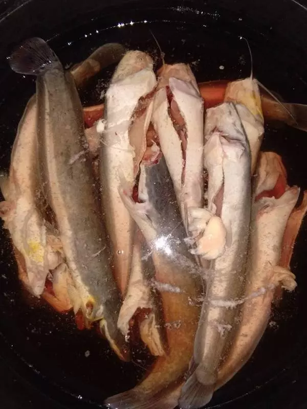 大馬主婦:一家六口每月食物最多花200令吉,從來沒超預算