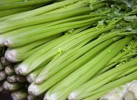 給你提個醒:【炒芹菜】不能放此物,吃了沒病也會容易生病,別怪我沒早告訴你