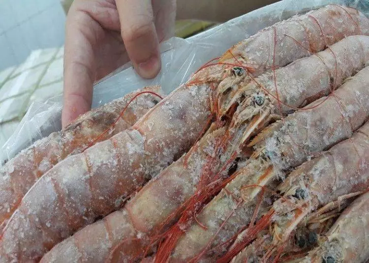 【有片】落呢樣嘢將死蝦變生蝦賣 用一招分辦隻蝦有冇加料