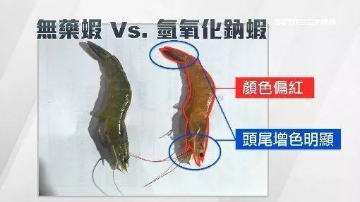 【有片】落呢樣嘢將死蝦變生蝦賣 用一招分辦隻蝦有冇加料