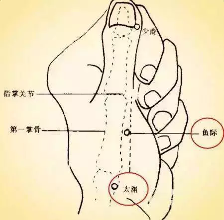 一分鐘治各種小病,穴位治病法,學習一下吧!