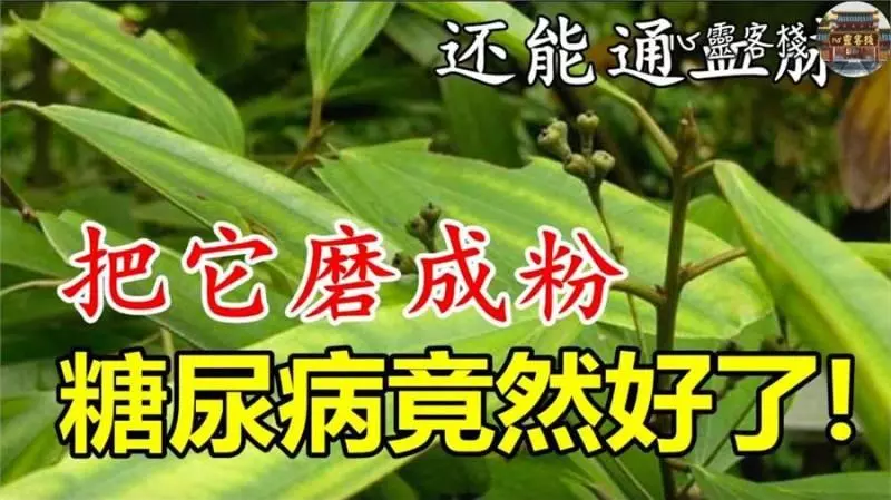 只需把它磨成粉,不僅降血壓、護肝,而且以後再也不用洗腎了,就連糖尿病也不見了!!!!!