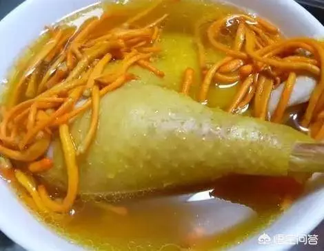 蟲草花的功效:有補肺腎、止咳嗽、益虛損、養精氣之功能,蟲草花怎麼做起來好吃?