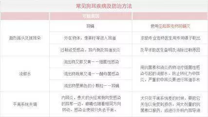 狗狗體味重?頻繁洗澡反而得了皮膚病,除味需要找准源頭