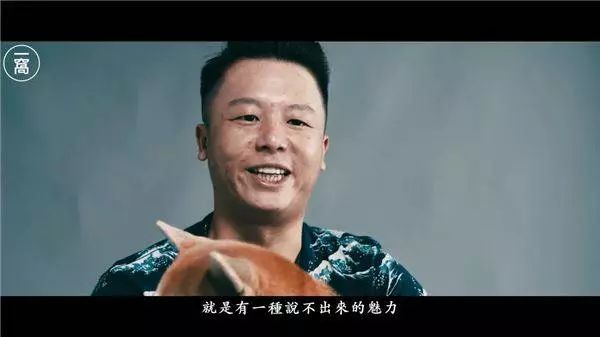 13位主人暢談與毛孩之間點滴 被問準備好面對毛孩生死了嗎 紛紛哽咽淚崩