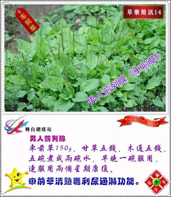 30種草藥簡訊!!必要收藏起來!