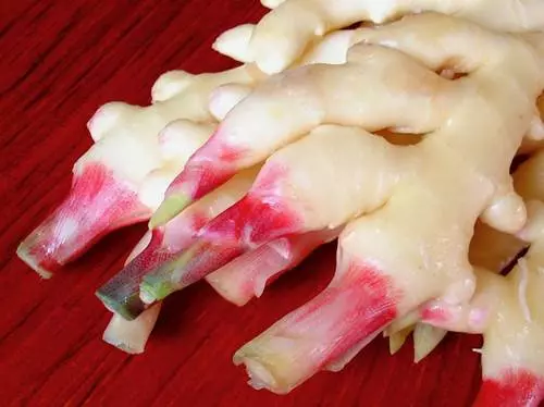 生薑放久容易乾癟?教你一招保存生薑,放再久都可以!超實用哦!