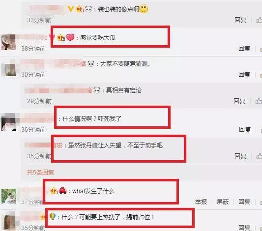 疑遭張丹峰家暴,洪欣深夜更文:打女人的男人要不得!
