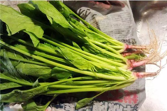 菠菜這樣做好之後比做湯喝的好吃100倍