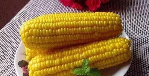 視力嚴重下降、看東西模糊不清!多吃4種食物,可馬上補救!