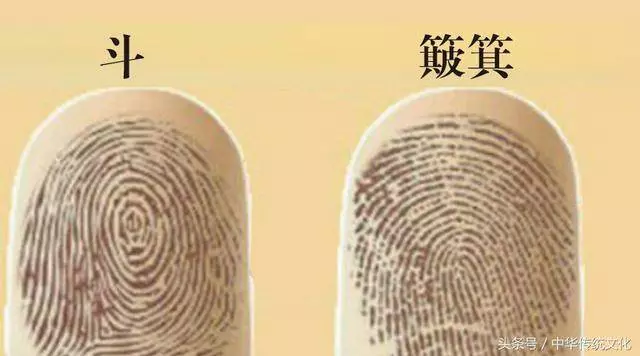 女人手指有幾個「斗」,一生家財萬貫,40歲後再不缺錢花?!