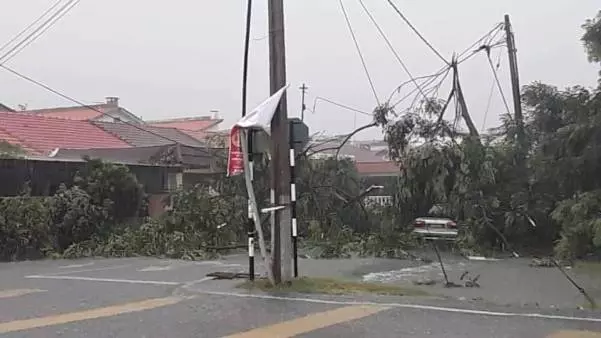 巴生今午迎暴風雨 多地發生大樹倒塌 | 東方網 | 馬來西亞東方日報