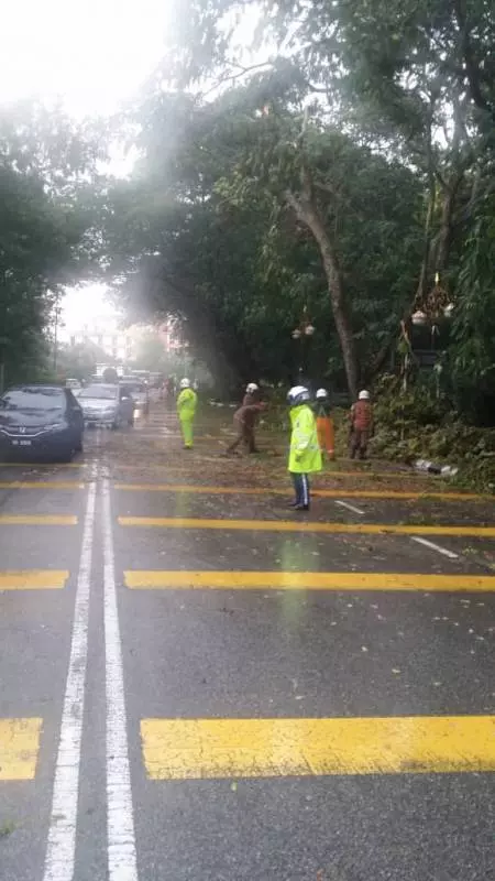 巴生今午迎暴風雨 多地發生大樹倒塌 | 東方網 | 馬來西亞東方日報
