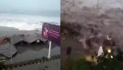 巴生今午迎暴風雨 多地發生大樹倒塌 | 東方網 | 馬來西亞東方日報