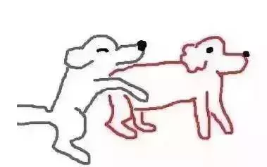 狗狗犯錯,責任在主人!你不知道自己已經犯下了這樣的錯誤