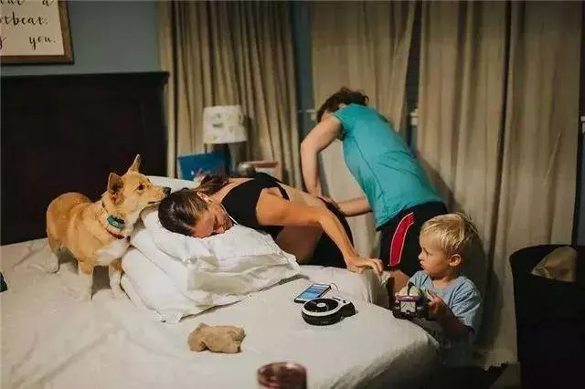 柯基目睹了主人生孩子的全過程,畫面暖到讓人想哭
