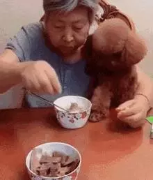 奶奶養大的狗,果然非同凡響