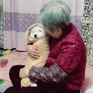 奶奶養大的狗,果然非同凡響
