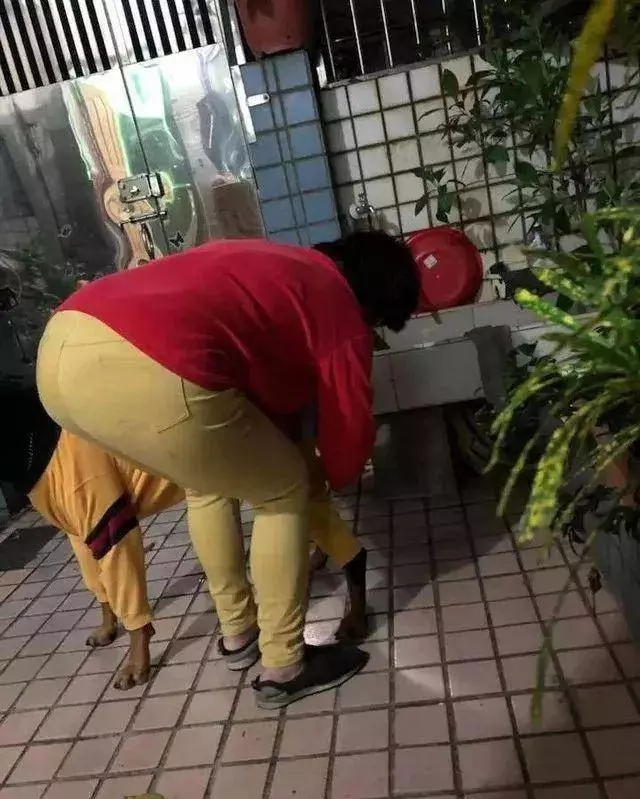 奶奶養大的狗,果然非同凡響