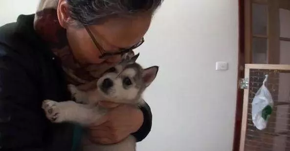 奶奶養大的狗,果然非同凡響