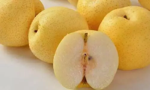 長期吸菸肺不好?多吃這幾種食物,給你的肺部「洗洗澡」