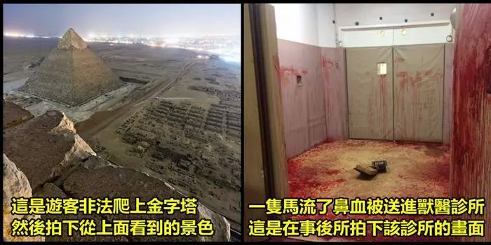 23張再幸運也未必有機會看到的罕見照片~大家來看看吧