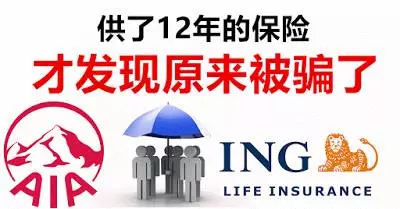 我這樣相信你,你竟然騙了我12年