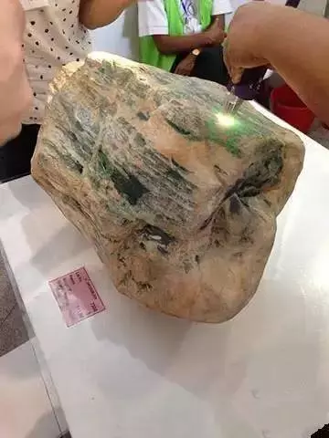老伯上山採藥竟挖到一塊「五花肉 石頭」,用150萬賣掉!結果第2天後發生的事讓他當場昏倒!