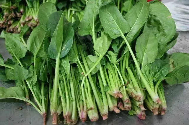 兒科主任:常給孩子吃這5種食物,促進骨骼發育,大腦更聰明