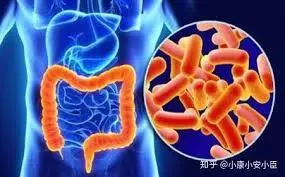 老放屁你以為是空氣吸多了?其實是這些疾病發出的「信號」,重視