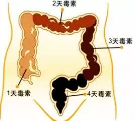 老放屁你以為是空氣吸多了?其實是這些疾病發出的「信號」,重視