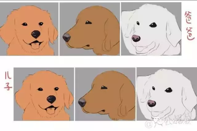 為什麼狗狗鼻頭會褪色?