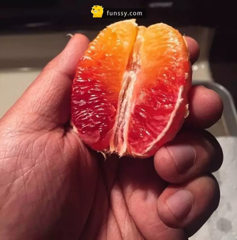 30多張會「讓你整個人超舒服」的超完美食物照片