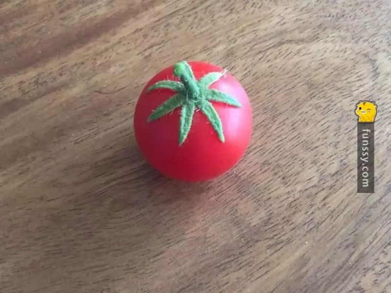 30多張會「讓你整個人超舒服」的超完美食物照片