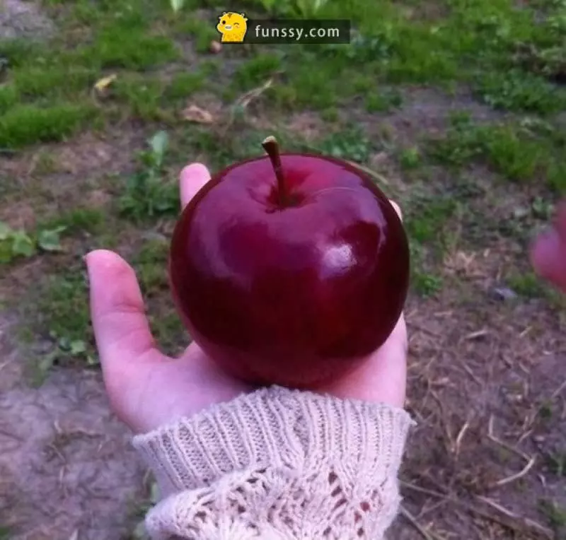 30多張會「讓你整個人超舒服」的超完美食物照片