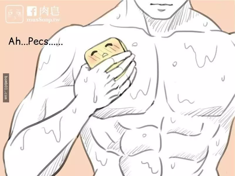 這是一個變態肥皂和他最愛的主人的爆笑故事可是結尾肥皂的下場太可憐了~大家來看看吧
