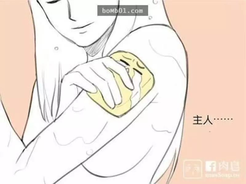 這是一個變態肥皂和他最愛的主人的爆笑故事可是結尾肥皂的下場太可憐了~大家來看看吧
