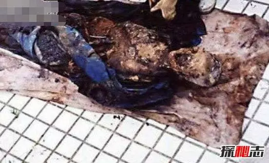 1995年成都殭屍肆虐事件,中國政府的10大秘密檔案之一