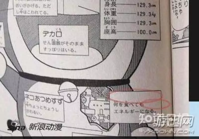 盤點哆啦A夢不為人知的12個秘密沒想到哆啦A夢根本就是一條魯蛇