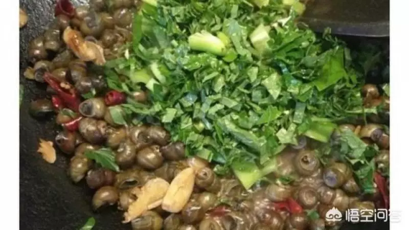中醫認為假萎性溫味辛,有溫祛風除濕,溫中散寒、消腫止痛的功效 ~