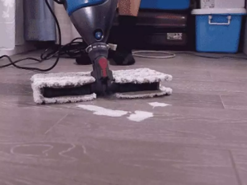 狗狗身上全是蟎蟲,都是錯誤清潔惹的禍