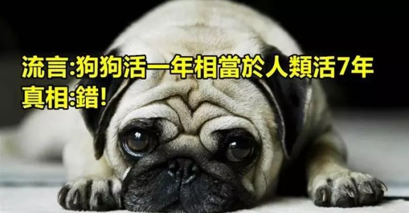 揭密32個偽事實,沒想到我被騙了20幾年