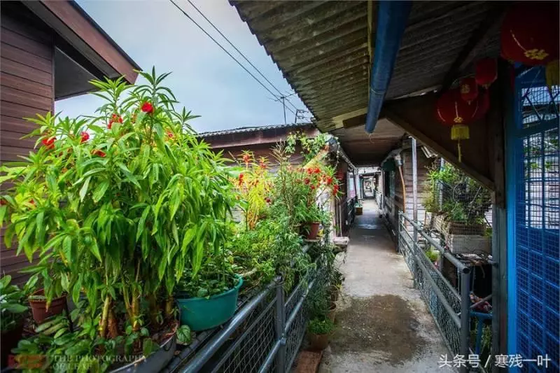 大馬這座城市有40萬人口,華人就占了30萬,他們居住的場所更令人驚訝