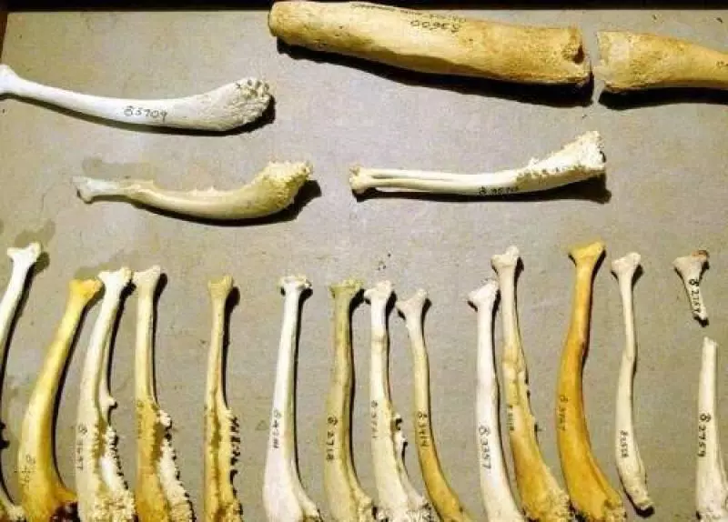 32個你到現在可能都還不知道的【重大科學發現】