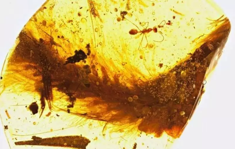 32個你到現在可能都還不知道的【重大科學發現】