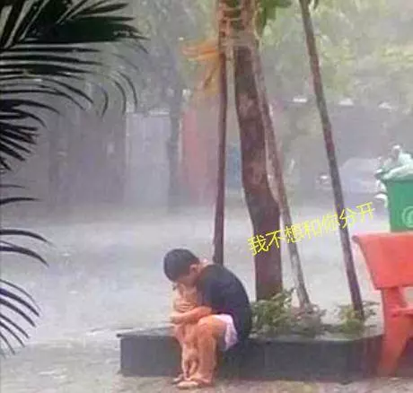 家人不允許養狗,男孩抱著狗在雨里道別,久久捨不得放開