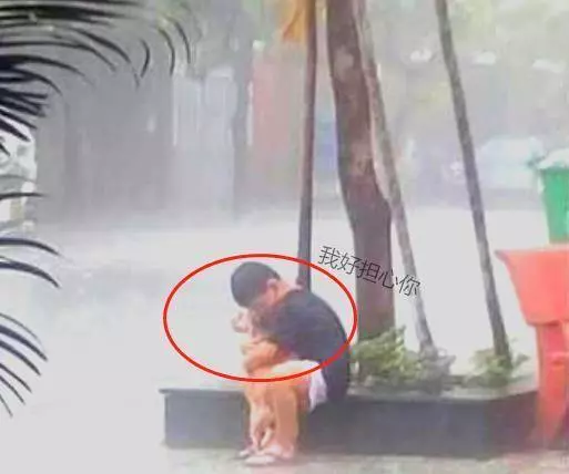家人不允許養狗,男孩抱著狗在雨里道別,久久捨不得放開