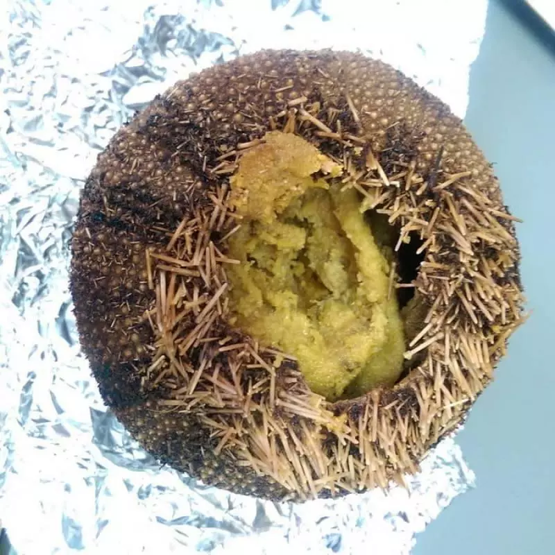 21個世界各地最奇葩的「特色黑暗料理」,臺灣「上榜食物」讓人有點意外阿XDD #1挪威:燻羊頭