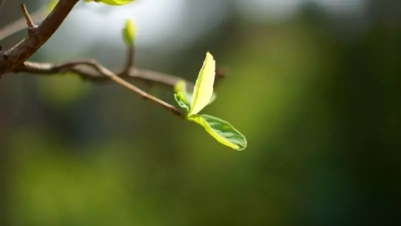 十二星座真正在乎你的表現,是怎麼樣的?